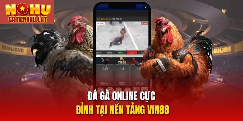 Đá gà online cực đỉnh tại nền tảng VIN88
