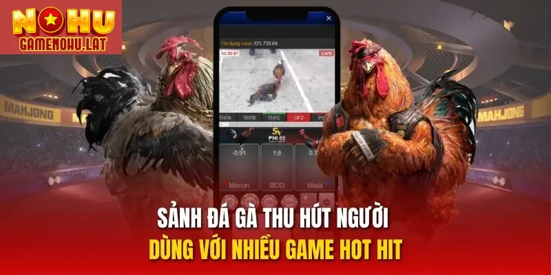 Sảnh đá gà thu hút người dùng với nhiều game hot hit Sảnh đá gà thu hút người dùng với nhiều game hot hit