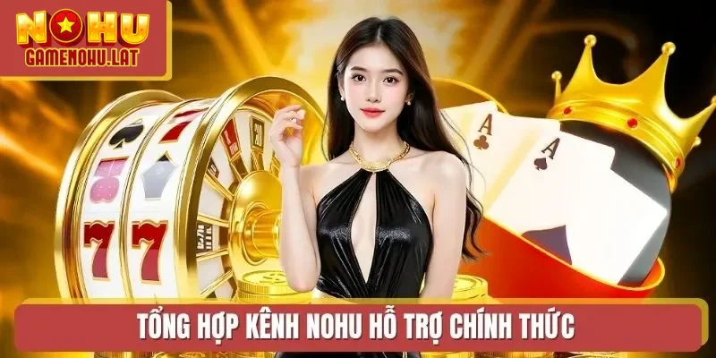 Tổng hợp kênh NOHU hỗ trợ chính thức 